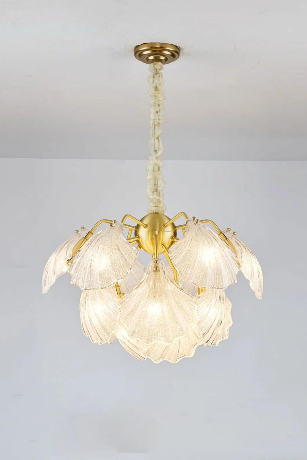 Ribbed Shell Chandelier - SamuLighting