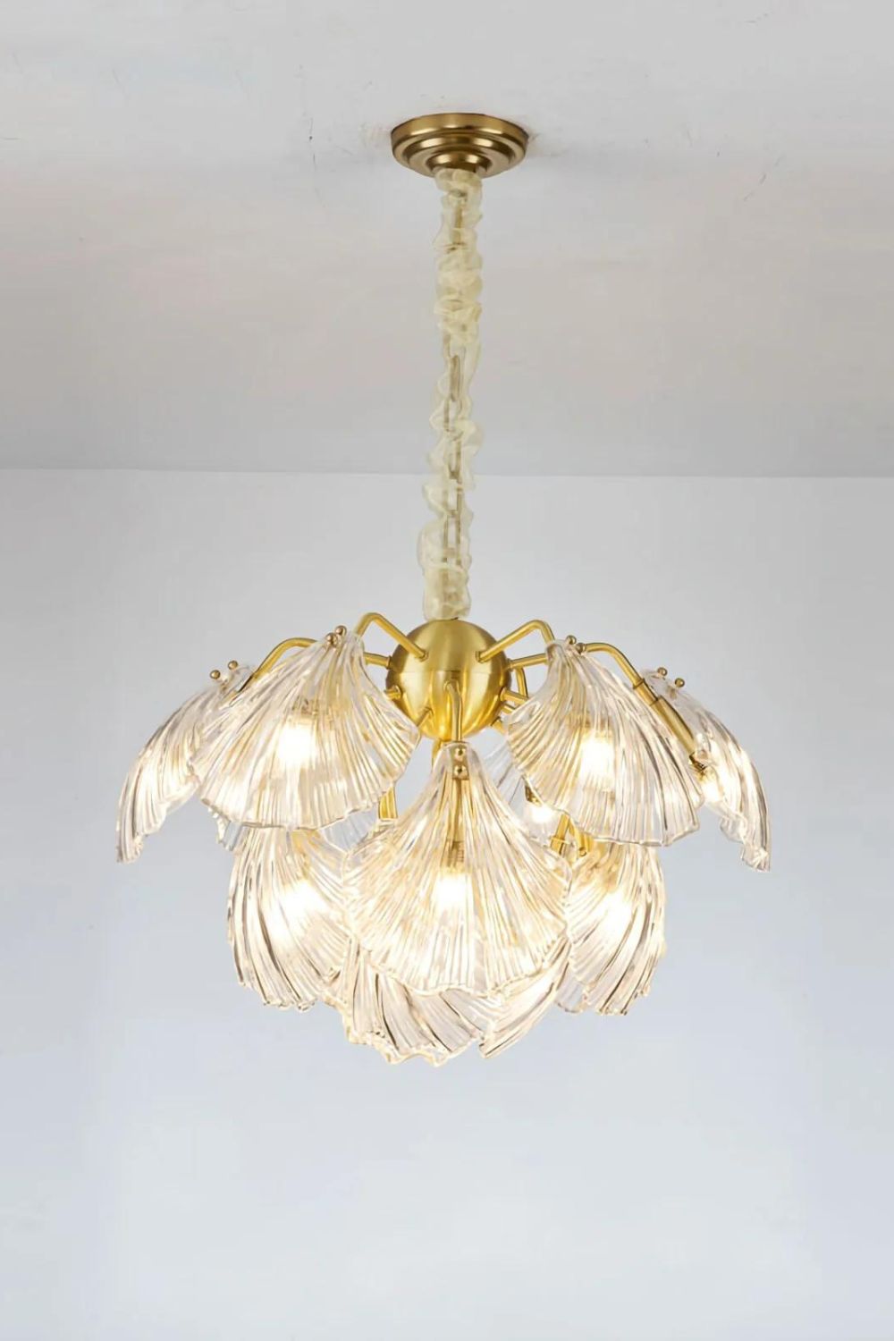 Ribbed Shell Chandelier - SamuLighting