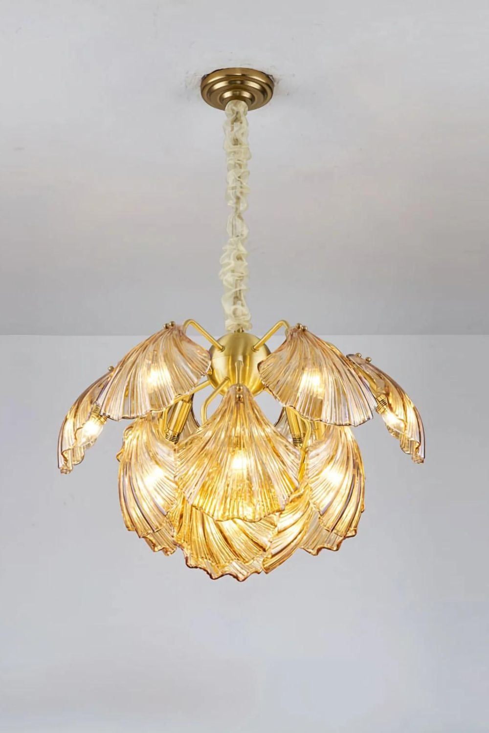 Ribbed Shell Chandelier - SamuLighting