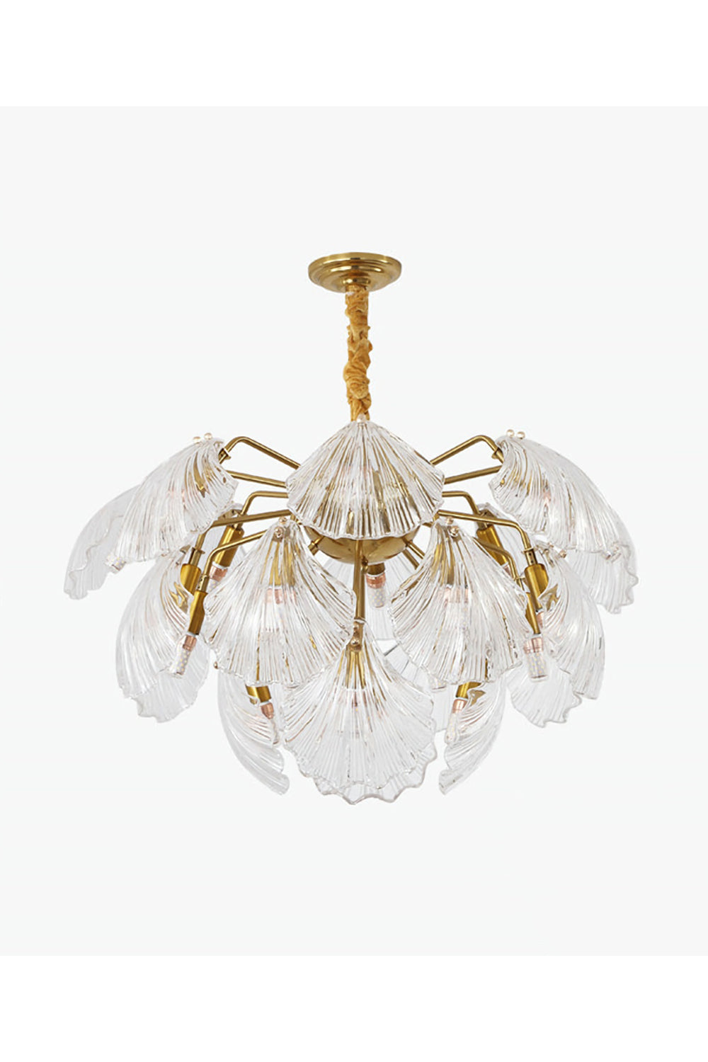 Ribbed Shell Chandelier - SamuLighting