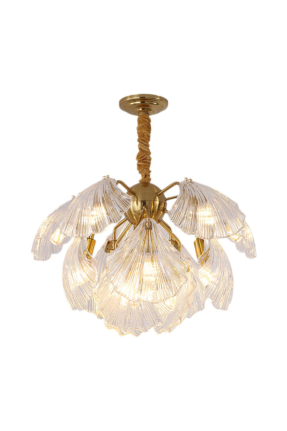Ribbed Shell Chandelier - SamuLighting