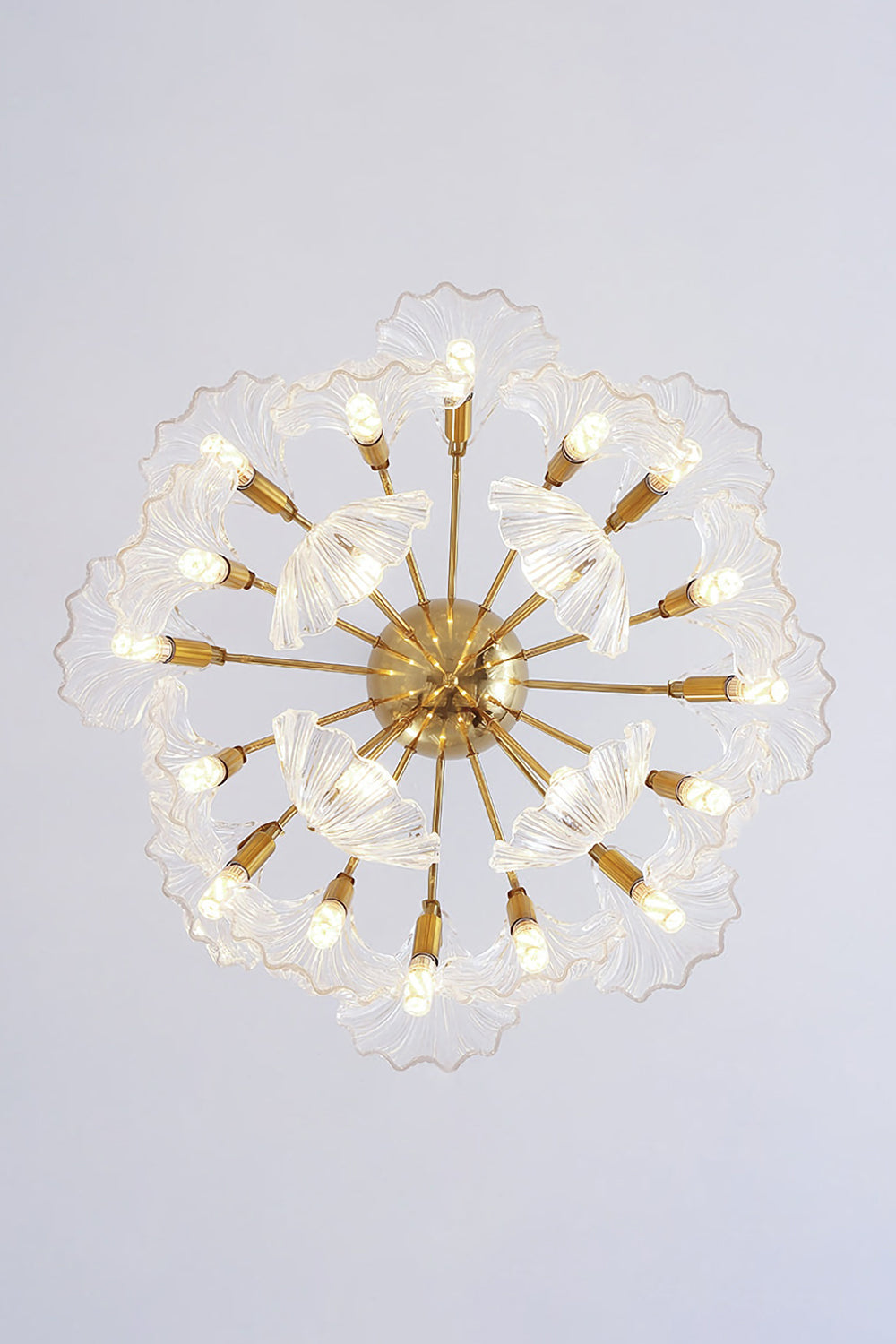 Ribbed Shell Chandelier - SamuLighting