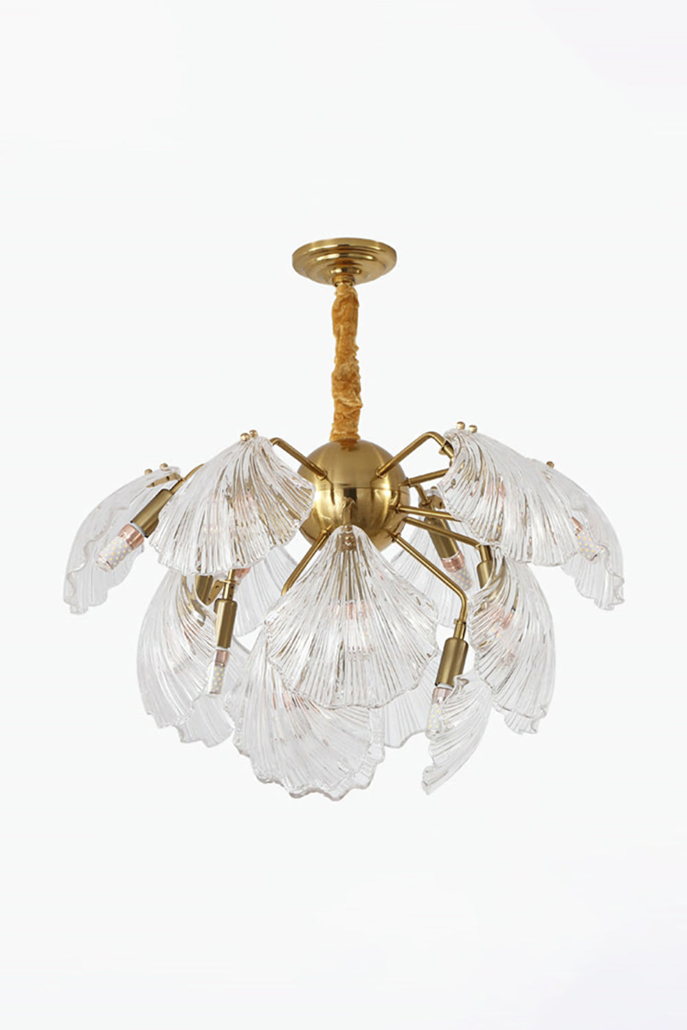 Ribbed Shell Chandelier - SamuLighting