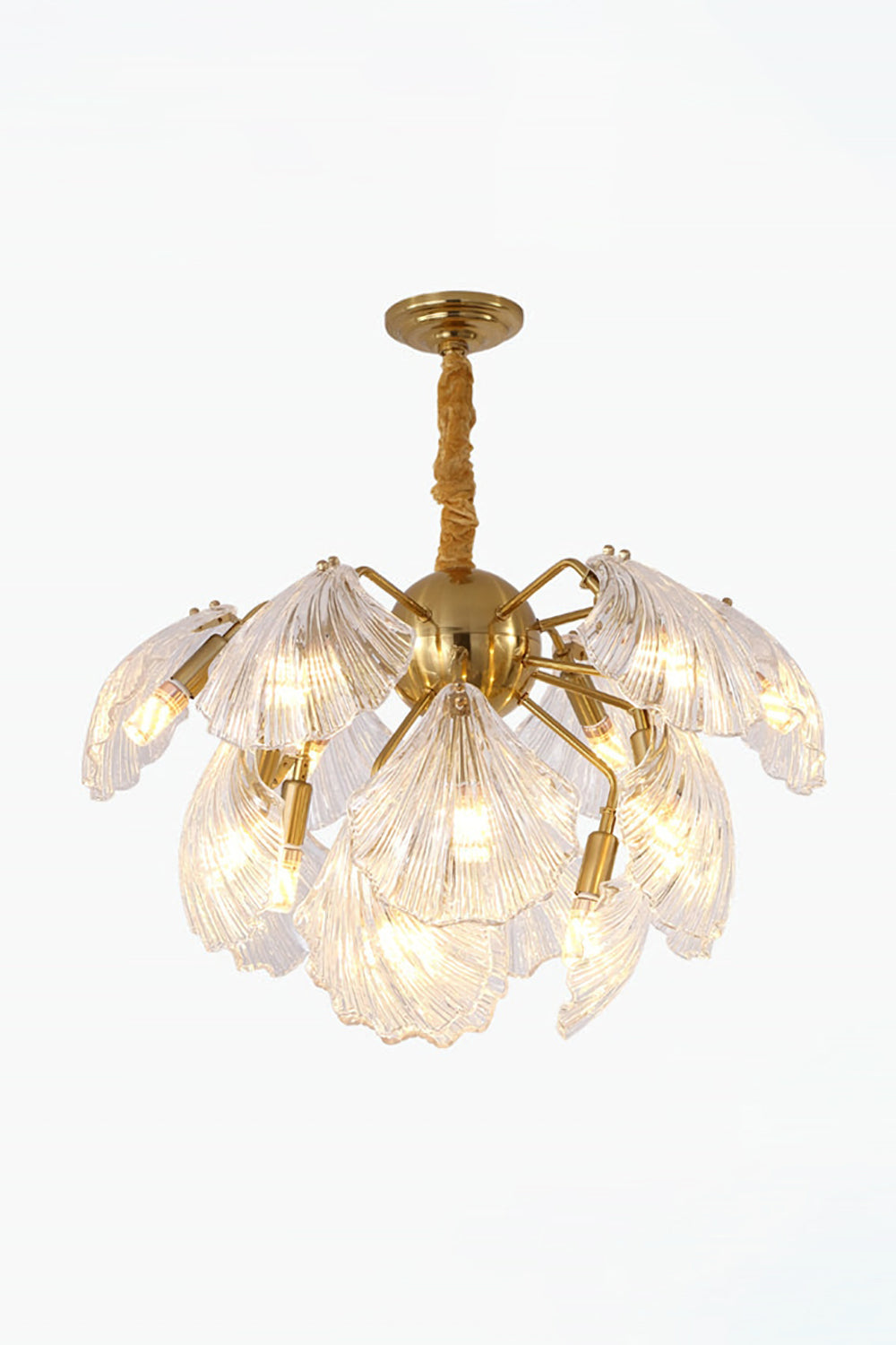 Ribbed Shell Chandelier - SamuLighting