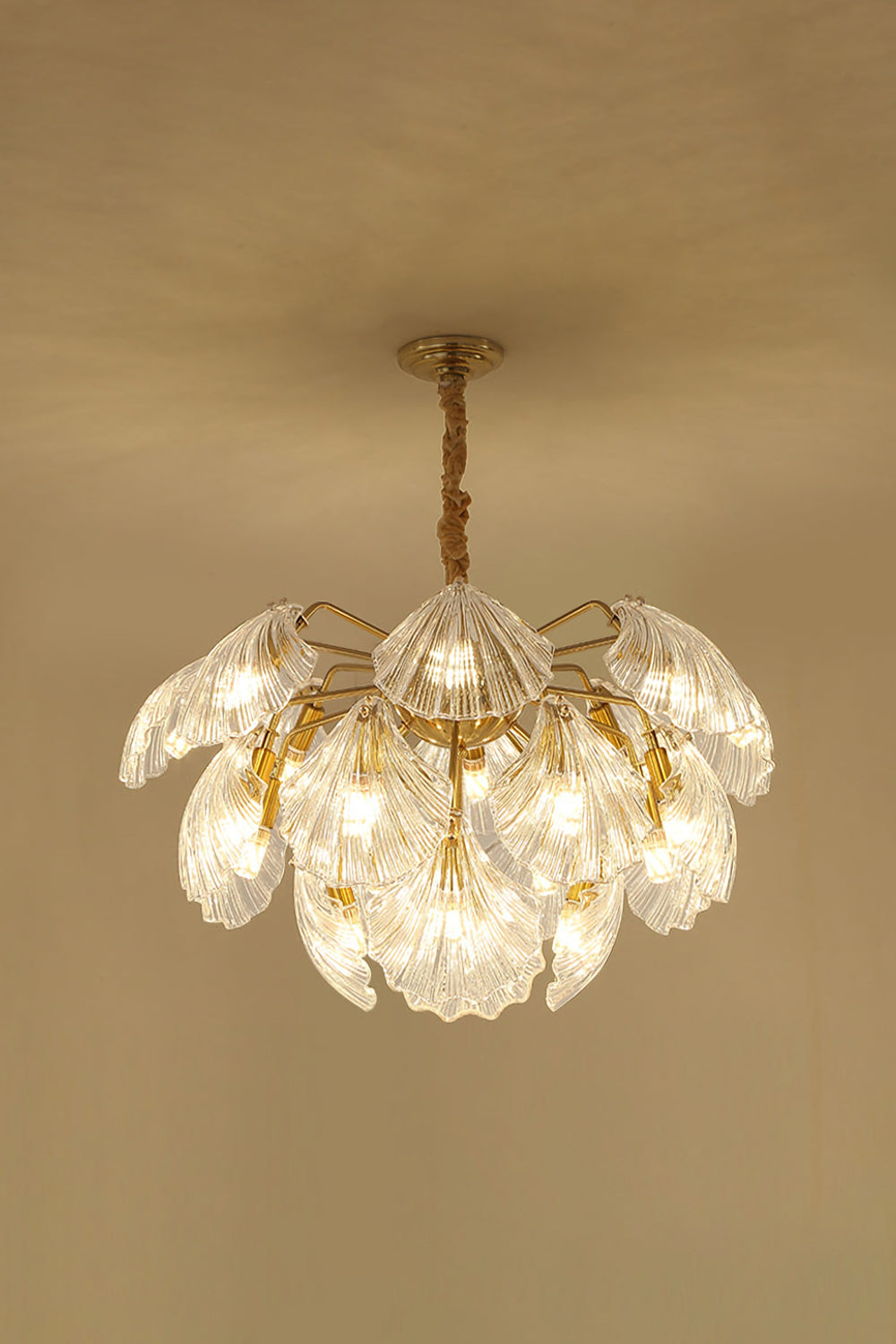 Ribbed Shell Chandelier - SamuLighting