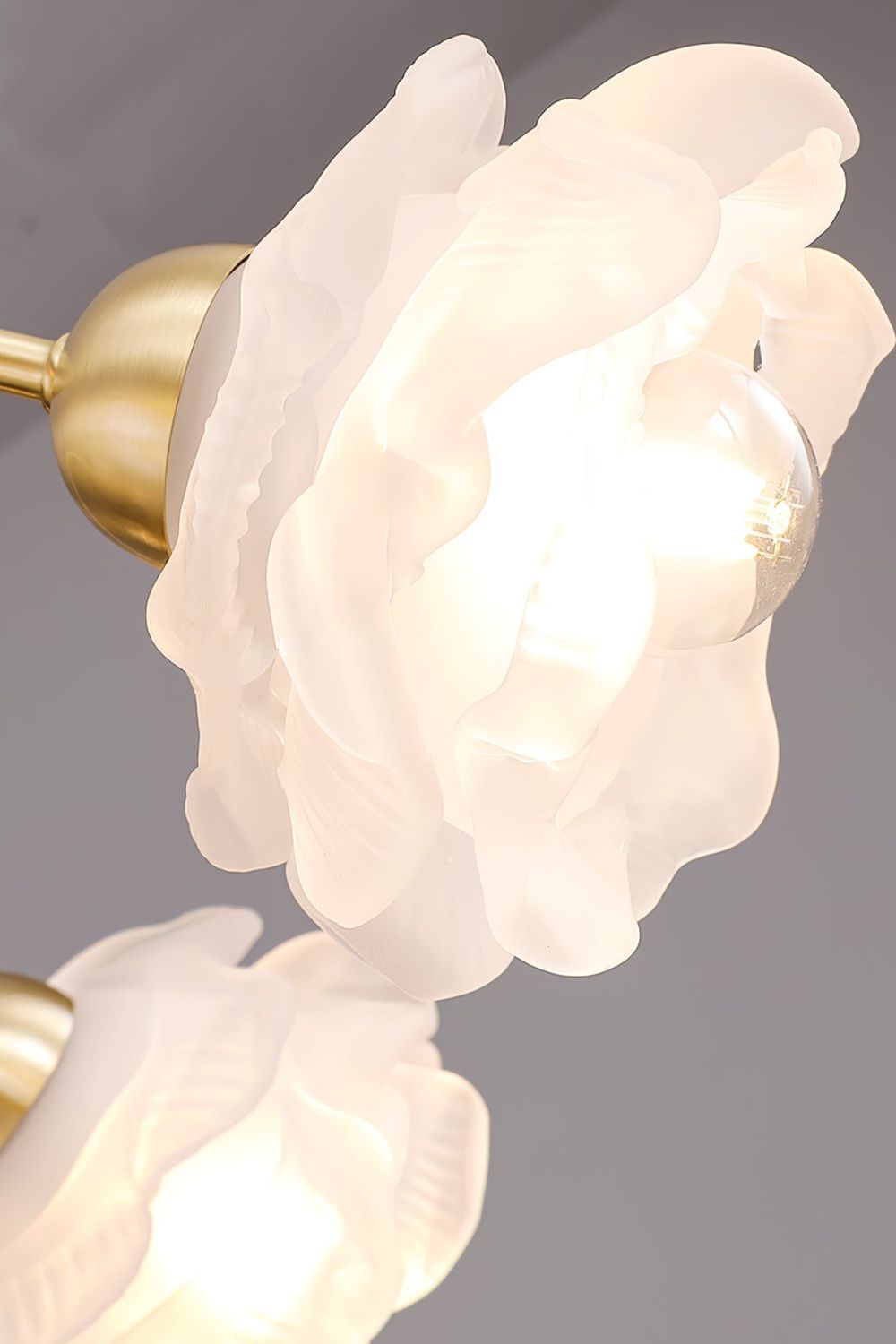 Roses Chandelier - SamuLighting