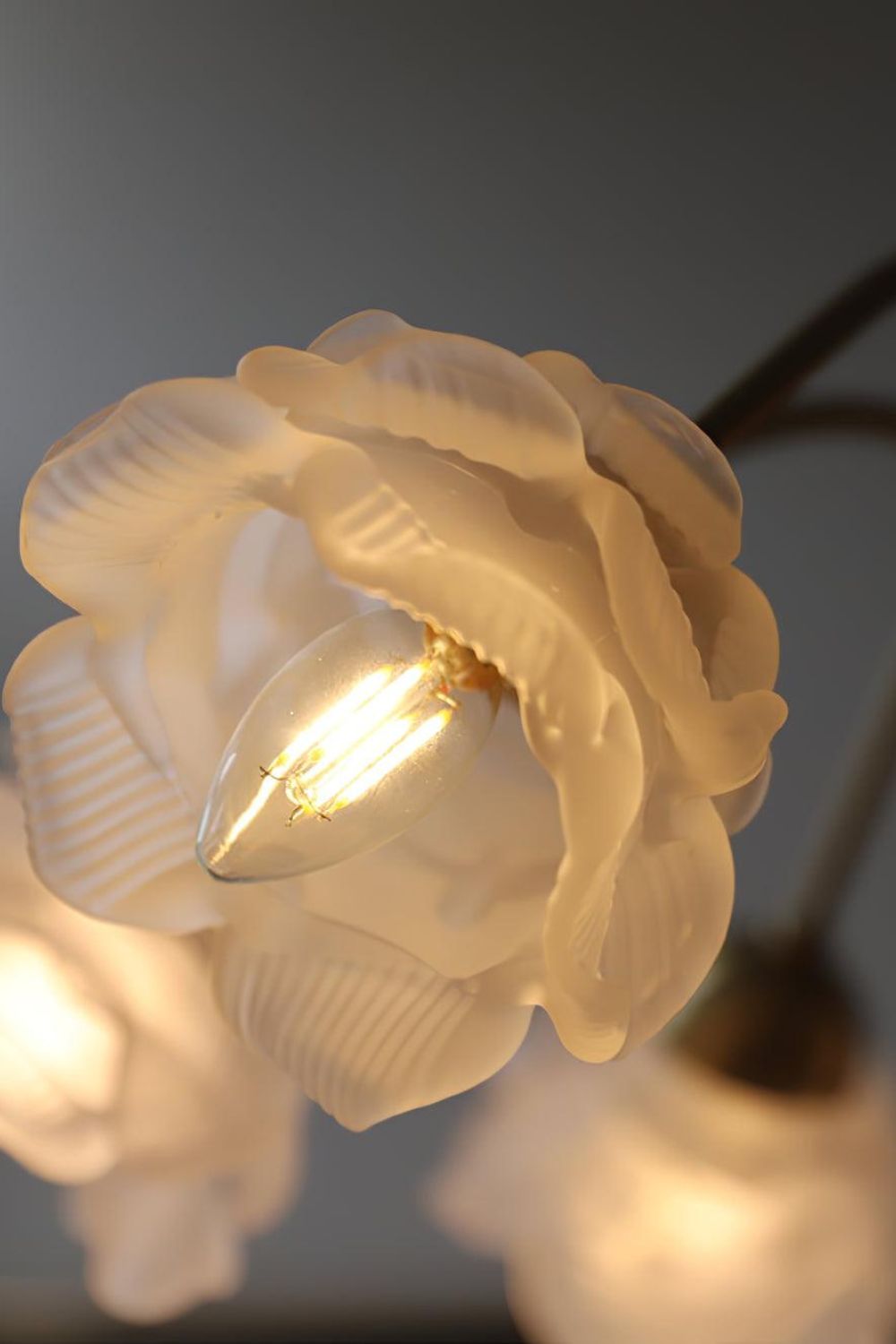 Roses Chandelier - SamuLighting