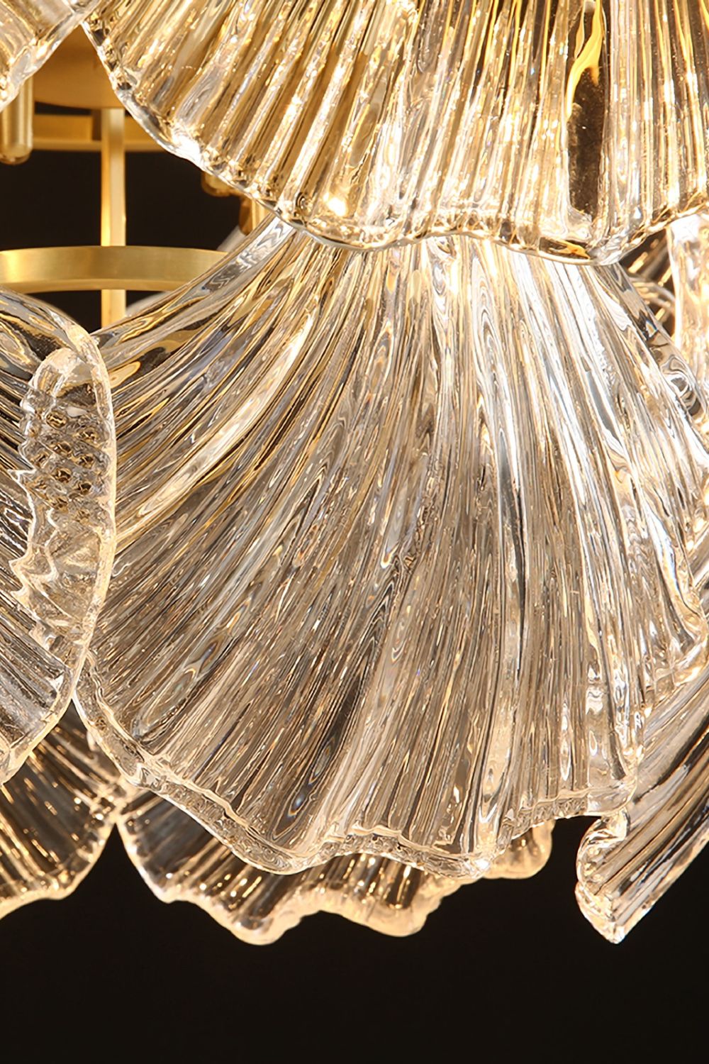 Scallop Shaped Chandelier Light - SamuLighting