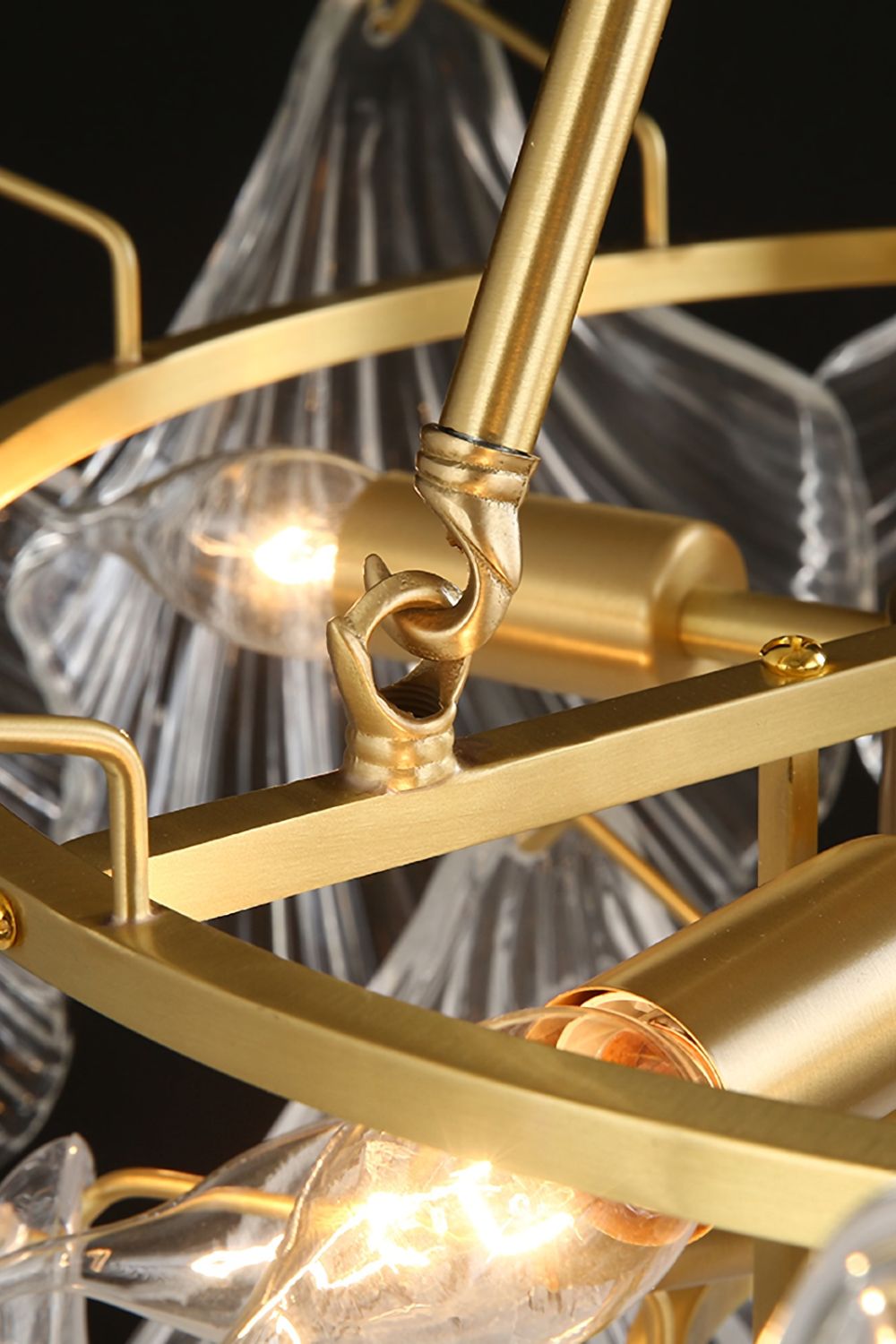 Scallop Shaped Chandelier Light - SamuLighting