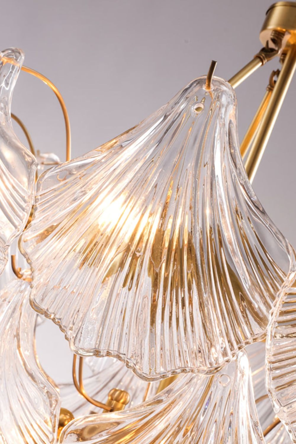 Scallop Shaped Chandelier Light - SamuLighting